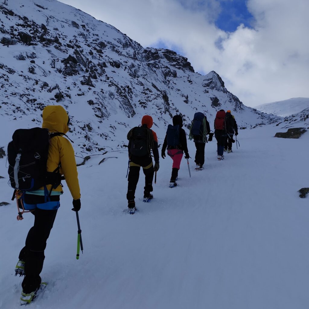 0e7313c8-46bd-4c6d-9b3b-ffa86daa3eae